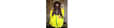 066. திருப்பராய்த்துறை
